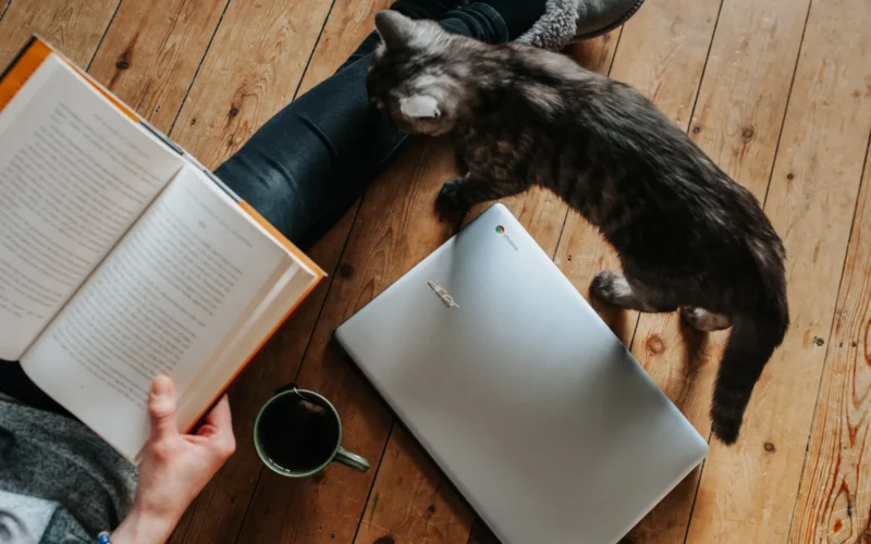 What is Remote Work?